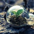transizione ecologica