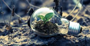 transizione ecologica