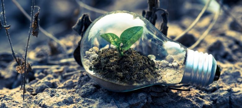 transizione ecologica